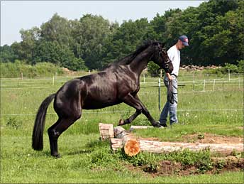 Jan mit Soléa