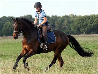 Anne Line und Kalimbo